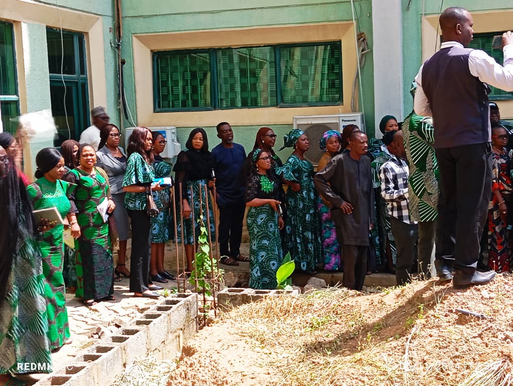 WhatsApp Image 2024-11-05 at 6.52.10 PM