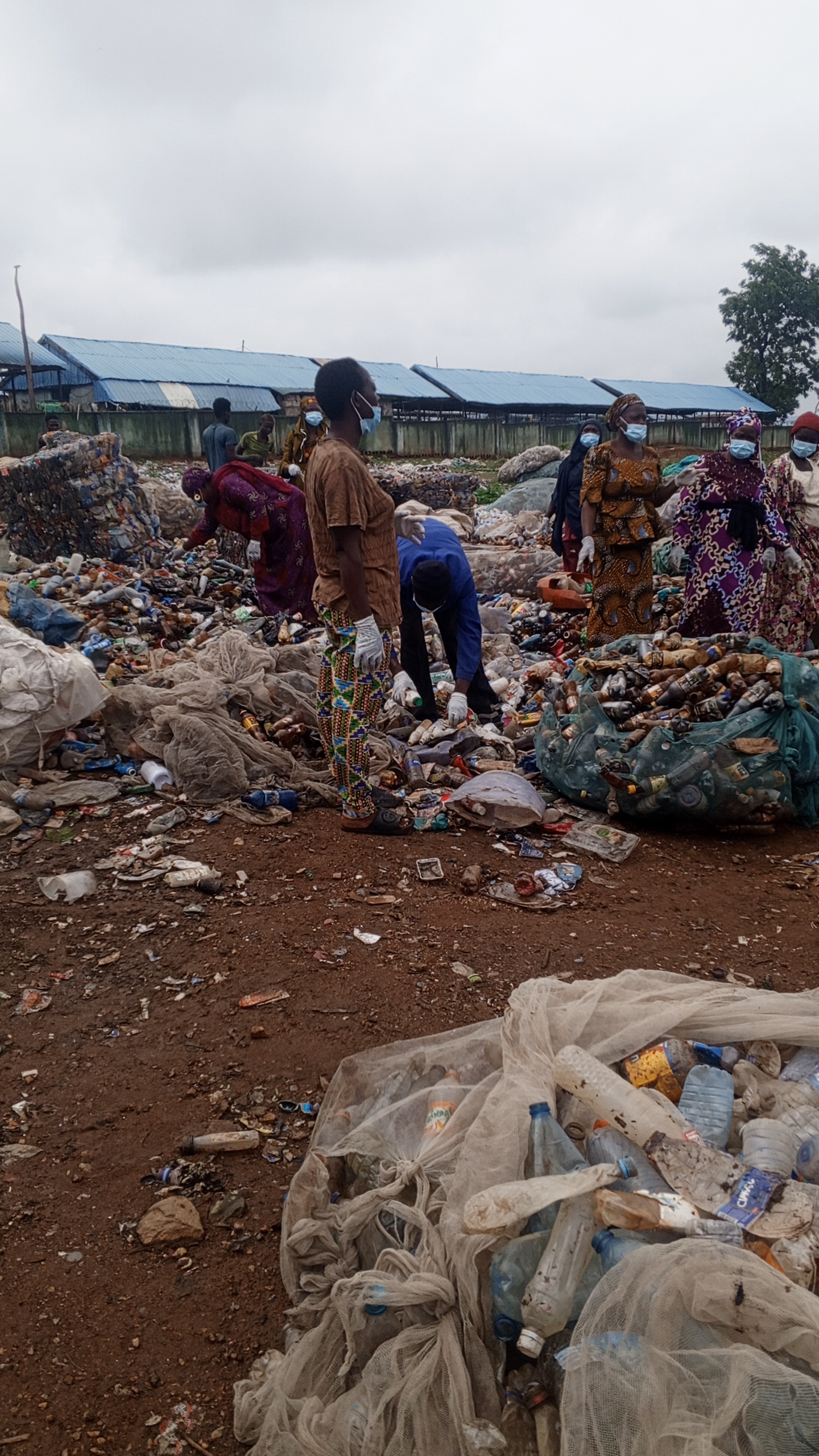 IMG_20250529_095142_7@-1269271380