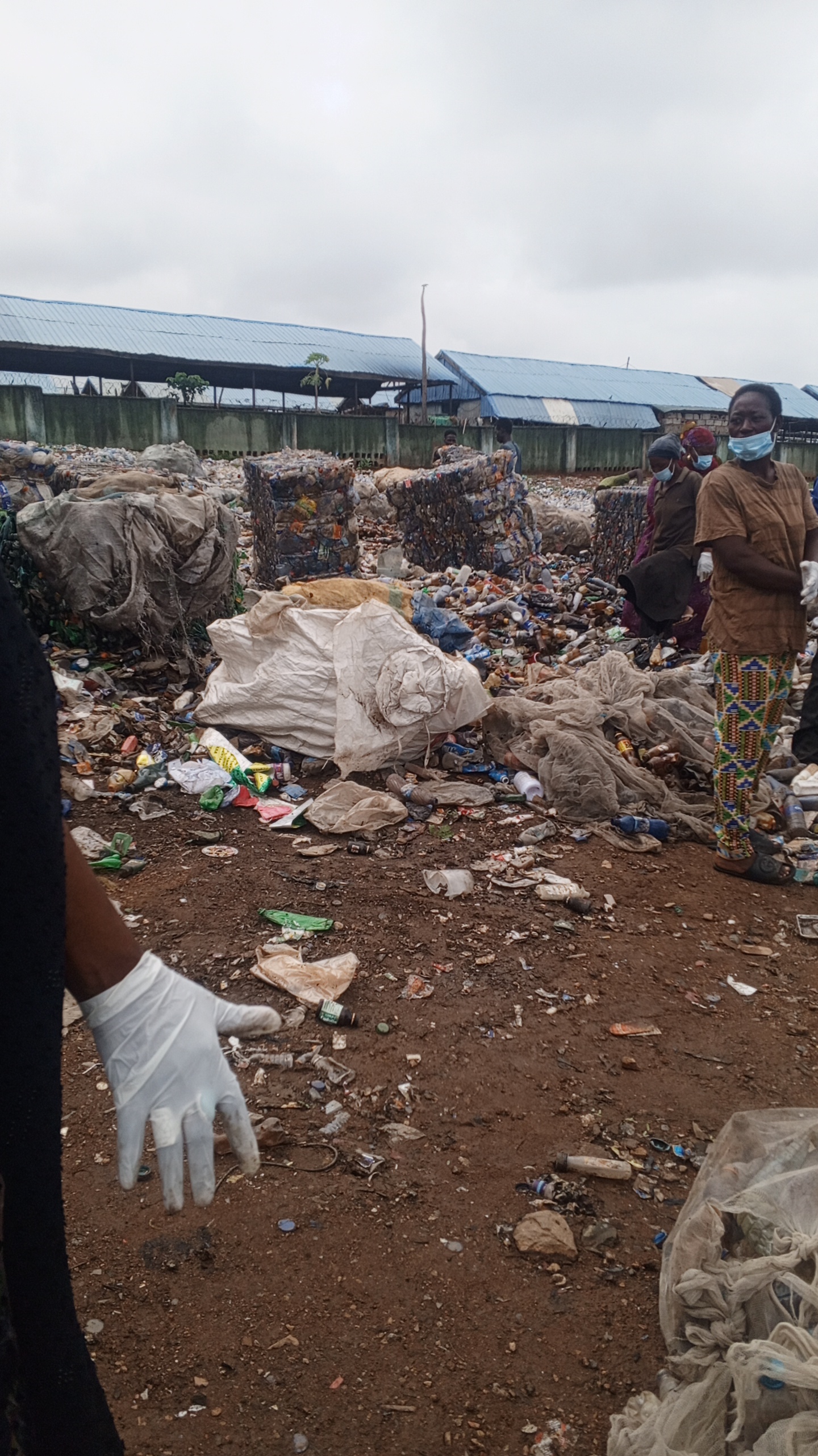 IMG_20250529_095146_9@-2012376910